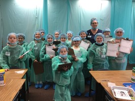 Non Fiction Text Feature Medical School